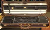 Luxury Classic violin case